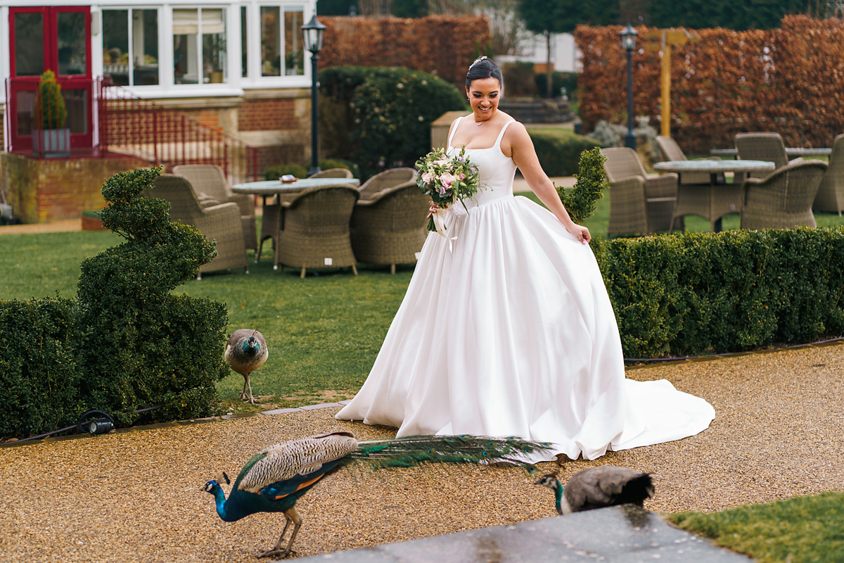 pendley manor wedding photographer - bride playing with the peacocks